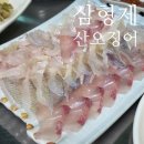 삼형제네 야채과일 | 대구 서구 맛집 삼형제산오징어 : 자연산 모듬회, 갑오징어튀김까지 맛있었던 후기