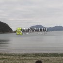 신지면-5 이미지