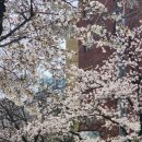 세븐일레븐 대구월성점 이미지