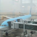 아이스크림 유니버스 | 올랜도 출발편 : ICN - MCO까지 15시간의 비행, 아틀란타 경유 후기, 꿈에 그리던 에픽 유니버스