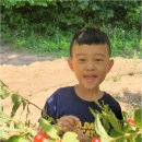 미래숲어린이집 | 자연 속에서 키우는 우리 아이, 호평동숲어린이집 선택 전 꼼꼼히 따져볼 체크포인트