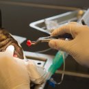 나루 동물병원 이미지