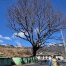 성곡보건진료소 이미지