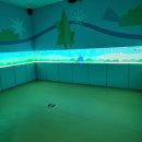 꿈이담 키즈헬스케어센터 이미지