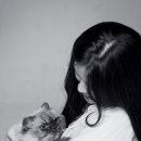 창너머 고양이 이미지