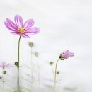 전라북도 완주군 YJ 골프존파크 삼례 삼봉, 가는법, 영업시간, 후기