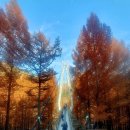 민간시설(화원식염온천) | 대전여행-힐하우스펜션/장태산휴양림/카페인터뷰(22.11.11-12)