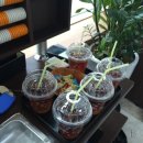 맨날당구장 이미지