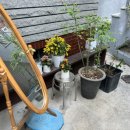 오복건강원 이미지