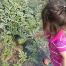 환이네농장 이미지