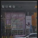 고읍다둥이네