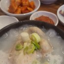 대영 삼계탕 네이버블로그