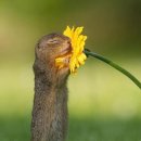 밤바람 네이버블로그