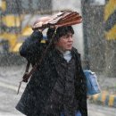 꽃피는 봄이 오면 이미지