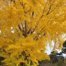 포항지형산책 이미지