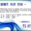 엠엘에프
