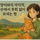 삼동로 | 양산고양이화장 “직접 보고 보내니 후회 없습니다”
