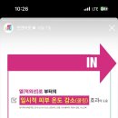 바이비드