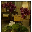 이화당한의원 이미지