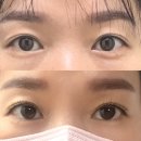 더한올(The한올) 이미지