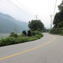 숲속의 산책 이미지