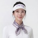 핑골프 아시아경제