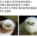 상영인테리어 이미지