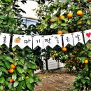 다연농장 이미지