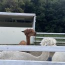 주한목장 이미지