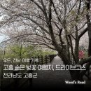 한적삼거리 네이버블로그