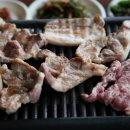 지리산산하루 Daum카페