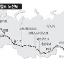 초원로 이미지