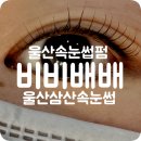 비비배배