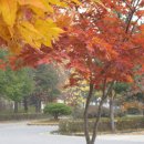 선진 양봉장 이미지