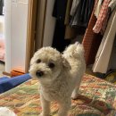 이월한의원 이미지