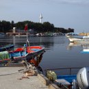 대진항식당 이미지