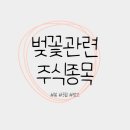 영진관광여행사 이미지