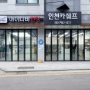 카쉐프