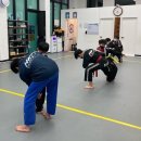 장지합기도 강류관 이미지