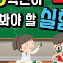 실험과학 (저) 이미지