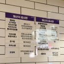 let's pizza(렛츠피자) | [데이트맛집] 퓨전 짬뽕과 피자의 완벽한 만남,'니뽕내뽕' C세트 솔직 후기! (위치, 주차, 웨이팅 꿀팁)