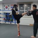 의성격투기 이미지