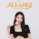 푸라닭대전 이미지