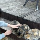 삼성메디 | 대구한의대학교 [하니메디키친] 내돈내산 솔직후기 + 한학촌