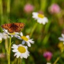 바다양푼이동태탕(상무점) 이미지