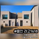 라고1618 이미지