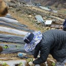 샘양지마을 이미지