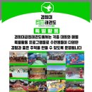 금성태권도장 이미지