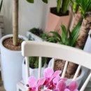 내성지구대 이미지