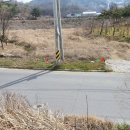 일등공장공인중개사사무소 이미지